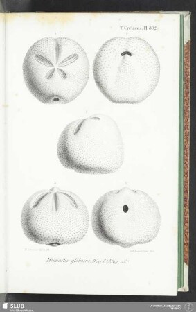 Pl. 892