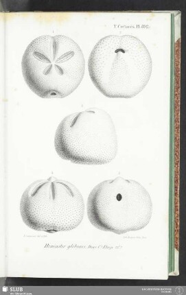 Pl. 892
