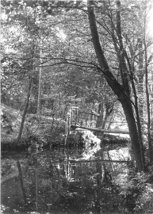 Schloß Hermsdorf bei Dresden. Parkanlagen (um 1730 und 1764). Partie am Schloßteich und Wassergraben mit Holzbrücke und Gatter. Fotografie (Negativabzug auf Papier) von Ursula Richter, um 1925