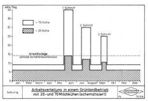 Arbeitsverteilung in einem Grünlandbetrieb mit 20- und 70 Milchkühen (schematisiert)