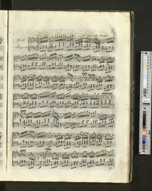 No.16 Allegretto