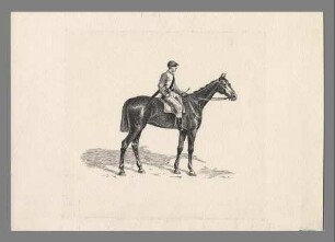 Reiten