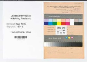 Entnazifizierung Elise Hambelmann, geb. 28.11.1895 ()