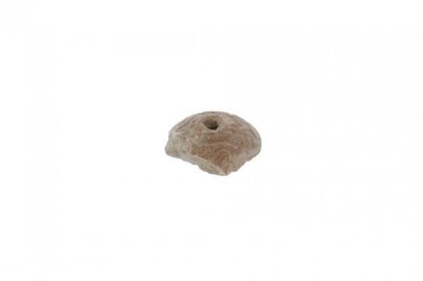 spindle whorl