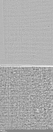 Lilie / CVC = S.1/2+3/4