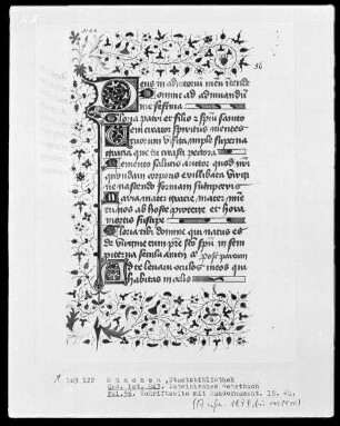 Lateinisches Gebetbuch mit französischem Kalender — Initiale D und Dreiviertelbordüre, Folio 56recto