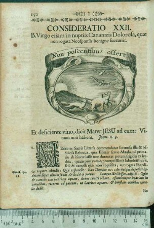 Consideratio XXII. B. Virgo etiam in nuptiis Cananæis Dolorosa, quæ non rogata Neosponsis benigne succurrit.