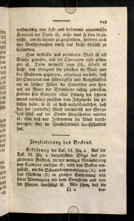 243-251, Zergliederung des Beckens; ...