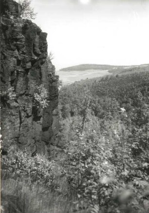 Schwarzwassertal : Westerzgebirge. Schwarzwassertal. "Alpiner Steig" bei Aue am Prellberg der "Hakenkrümme"