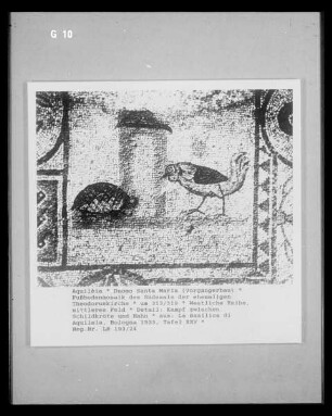 Fußbodenmosaik des Südsaals: Menschen-,Tier- und Pflanzendarstellungen umgeben von Rankenornamenten — Geometrische Ornamente und Kampfszene zwischen einem Hahn und einer Schildkröte — Kampf zwischen Schildkröte und Hahn