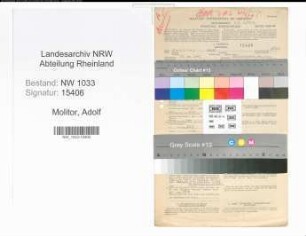 Entnazifizierung Adolf Molitor , geb. 17.10.1902 (Polizeiinspektor)