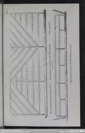 Tf. 3. Durch Pfropfen geendigter Theil. Birnbäume verkehrt auf Herzstamm gezogen. Gegenspalier. Apfelbaum an der Drahtschnur gezogen