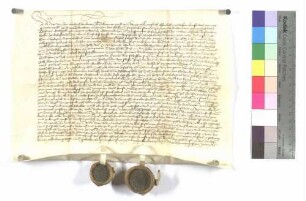 Hans Hiltprand von Hebsack und Genossen stellen Priorin und Konvent zu Gotteszell über eine Anzahl Weingärten zu Hebsack einen Lehenrevers aus.