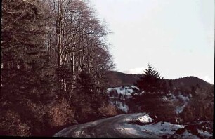 Poiana Brasov: Alte Waltstraße zur Poiana