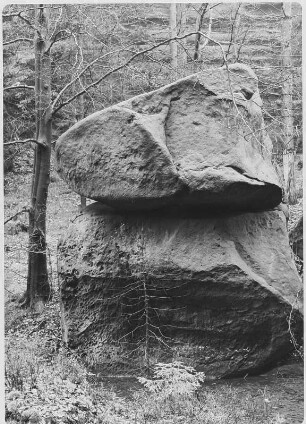 Felsbrocken (in der Gegend der Schrammsteine?)