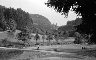 Kappel; Gutach: Anfang Gutachtal bei der Brücke Kappel