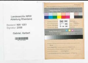 Entnazifizierung Herbert Gabriel , geb. 27.10.1910 (Fahrer)