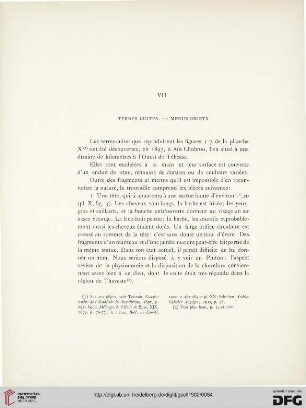 VII: Terres cuites.– Menus objets