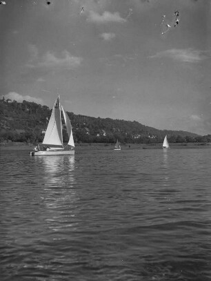 Dresden. Segelboote auf der Elbe zwische Blasewitz und Pillnitz
