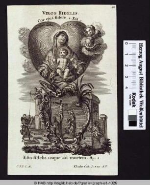 Virgo fidelis.