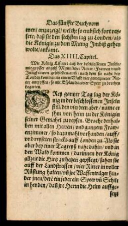 Das XIIII. Capitel.