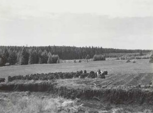 Erzgebirge, Arnikawiese, Torfstich