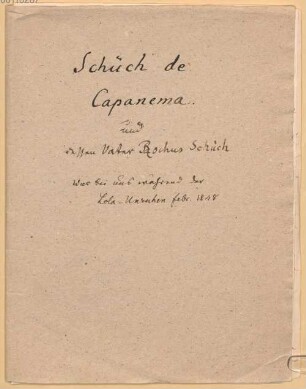 Briefe von Wilhelm Schüch de Capanema - BSB Halbigiana II.A.2. Capanema, Wilhelm Schüch de