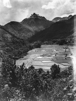 Anbauflächen (Sammlung Hans Stübel - 2. Forschungsreise durch Hainan 1932)