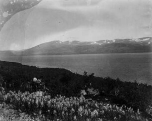 Am Torneträsk : Blick über See Torneträsk auf den Berg Kaisepakte