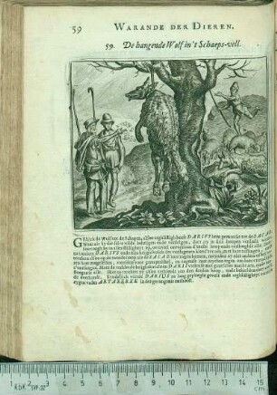 59. De hangende Wolf in 't Schaeps-vell.