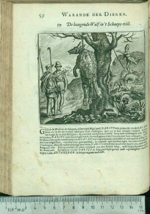 59. De hangende Wolf in 't Schaeps-vell.