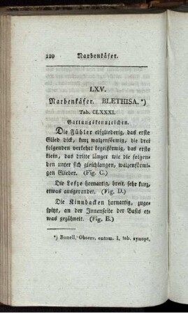 LXV. Narbenkäfer. [bis] LXVIII. Grundkäfer.