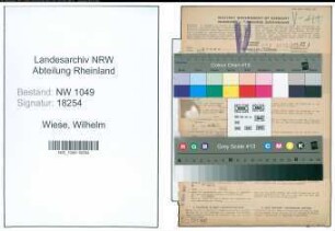 Entnazifizierung Wilhelm Wiese , geb. 16.05.1901 (Verwaltungsbeamter)