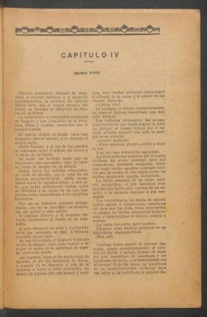 Capítulo IV - ¡Quien vive!