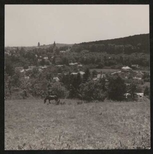Landschaft mit Pferd bei Rodaun von Kalksburg aus gesehen mit Beschriftung von Paul Celan