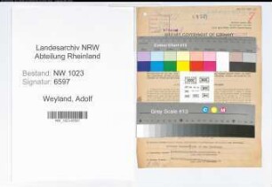 Entnazifizierung Adolf Weyland , geb. 28.07.1906 (Verw.Obersekretaer)