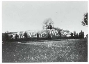 Randegg, Gottmadingen, KN; Jüdischer Friedhof, Gesamtansicht