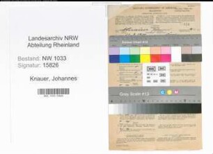 Entnazifizierung Johannes Knauer , geb. 22.09.1900 (Arbeiter)