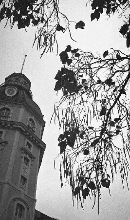 Herbststimmung im Schlossgarten.