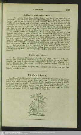 Lückenbüßer