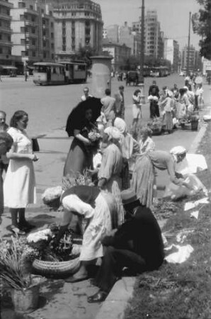 Bukarest: Blumenzigeunerin am Boulevard Bratianu