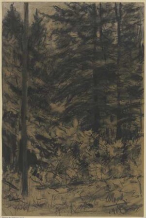 Tannen