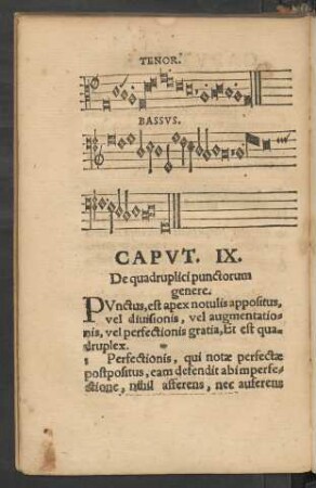 Caput. IX. De quadruplici punctorum genere.