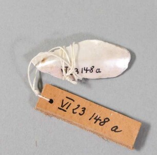 Fragment eines Angelhaken