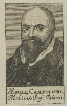 Bildnis des Aemilius Campolongus