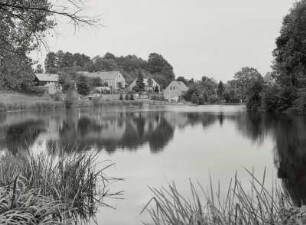 Königshain (Kreis Görlitz). Blick über den Teich