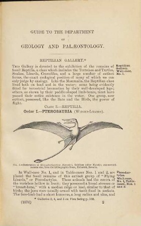 A Guide to the Fossil Reptiles and Fishes in the Department of Geology and Palaeontology : British Museum (Natural History). (With 165 Illustrations)