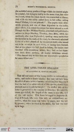 The log- tailed stallion of Augustus II. King of Poland