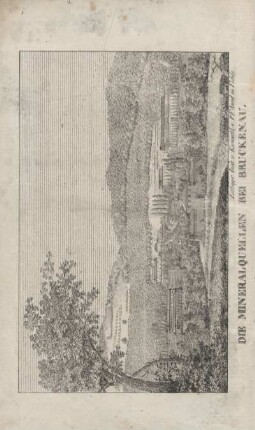 Die Mineralquellen bei Brückenau