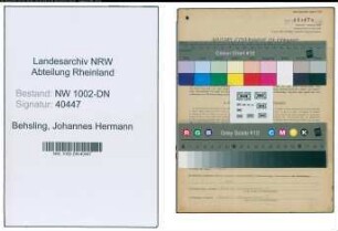 Entnazifizierung Johannes Hermann Behsling, geb. 07.07.1902 (Karosseriebauer)